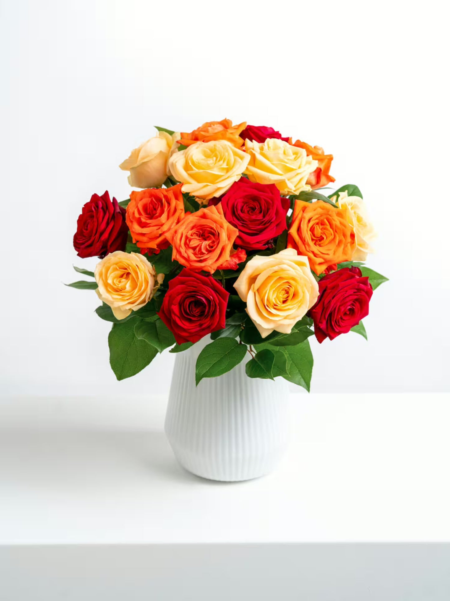 Rosenkuss