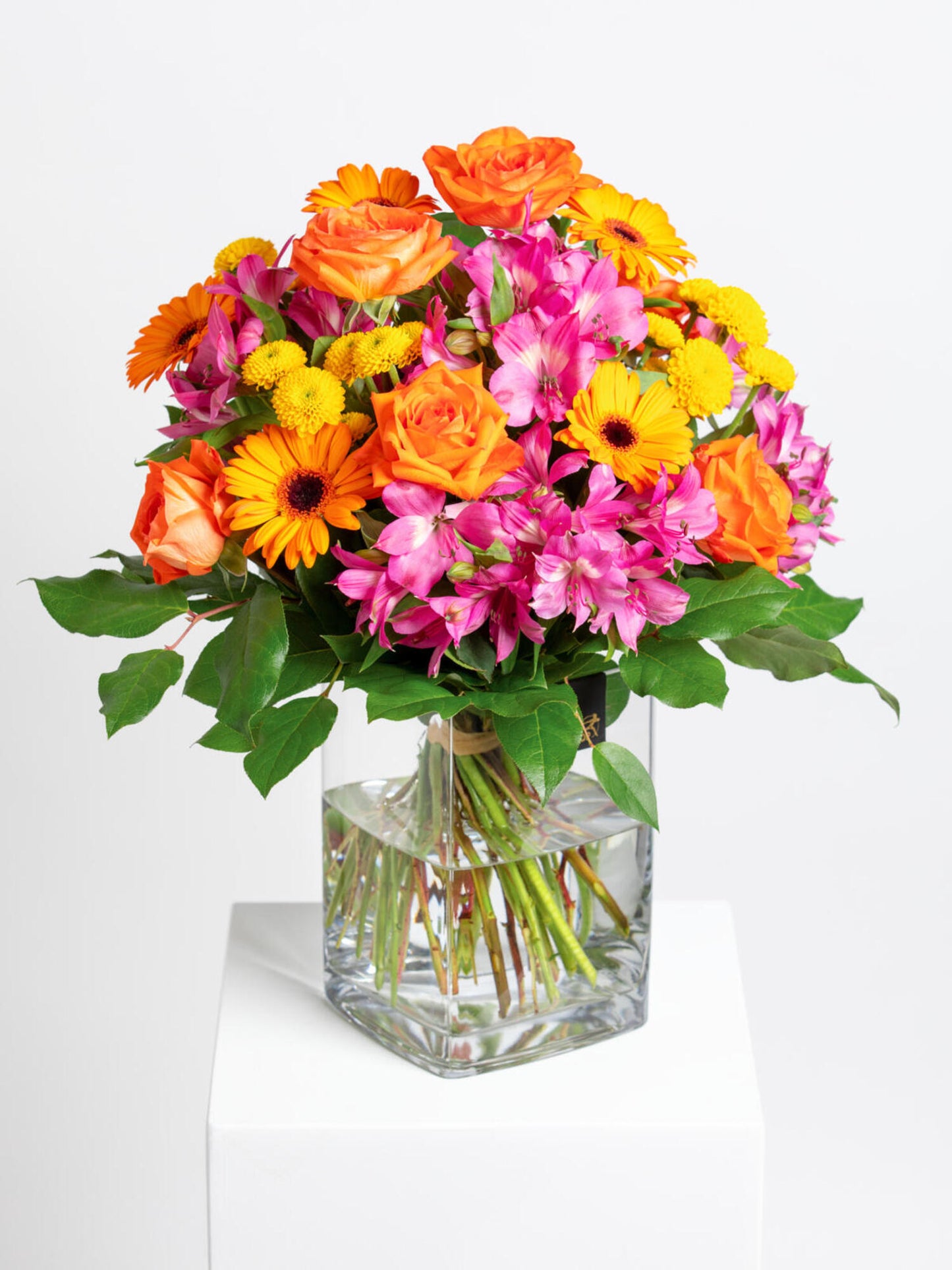 Sonnige Geburtstagsgrüße