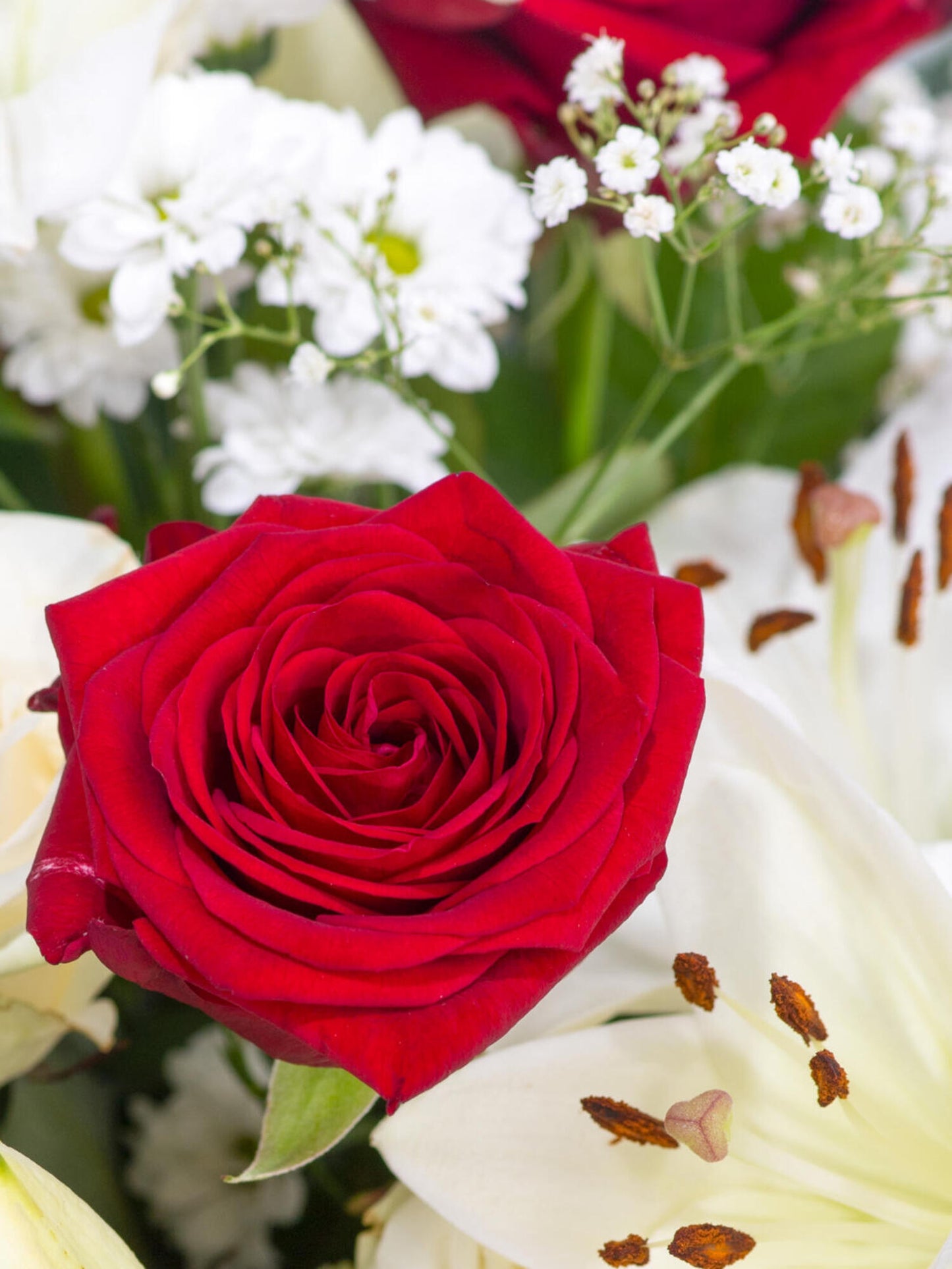 Ewig an Deiner Seiter