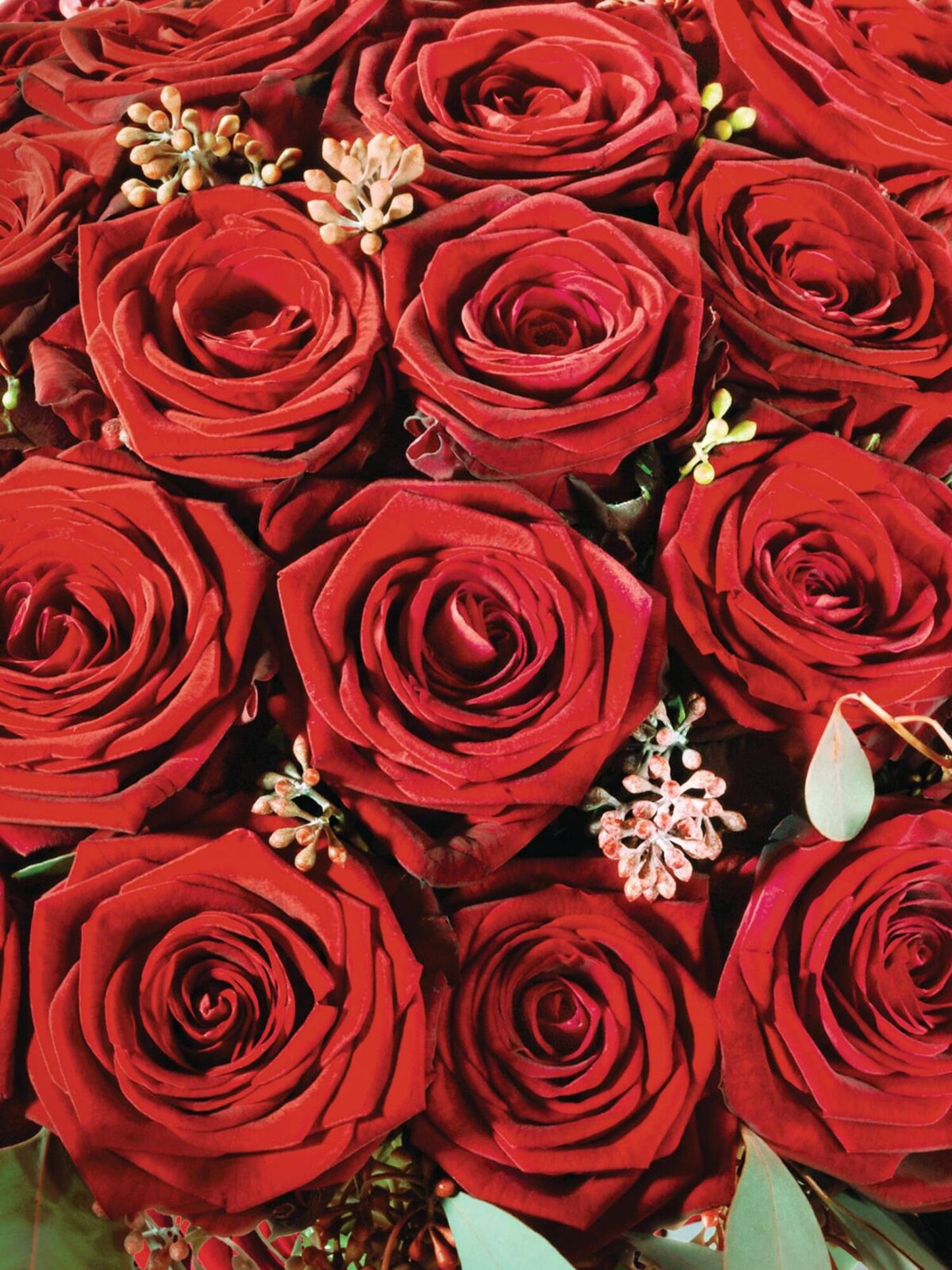 Deluxe: Love