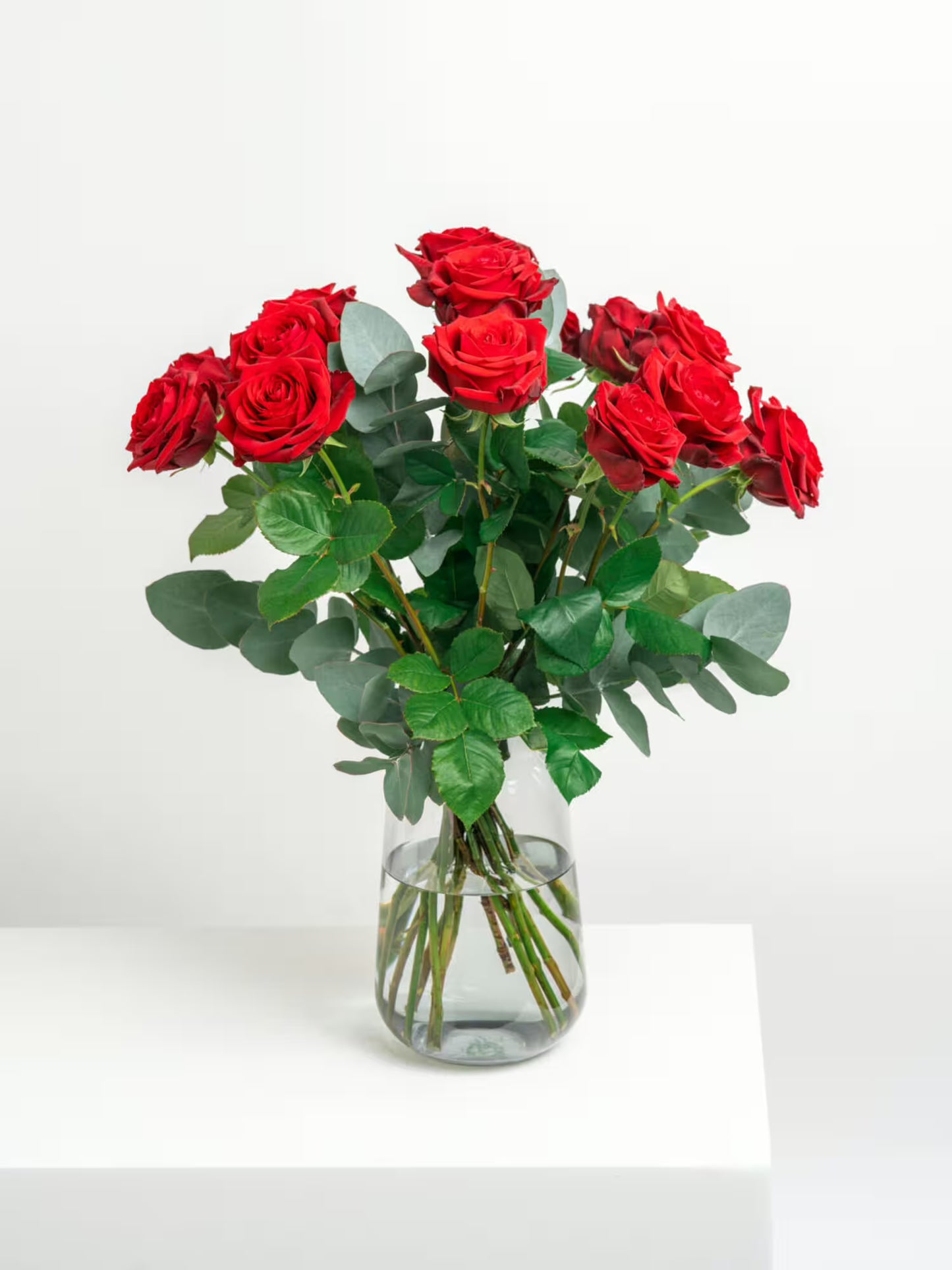 Rosenträume