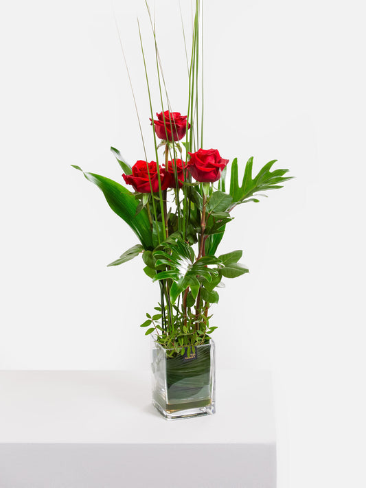 Rosenflammen