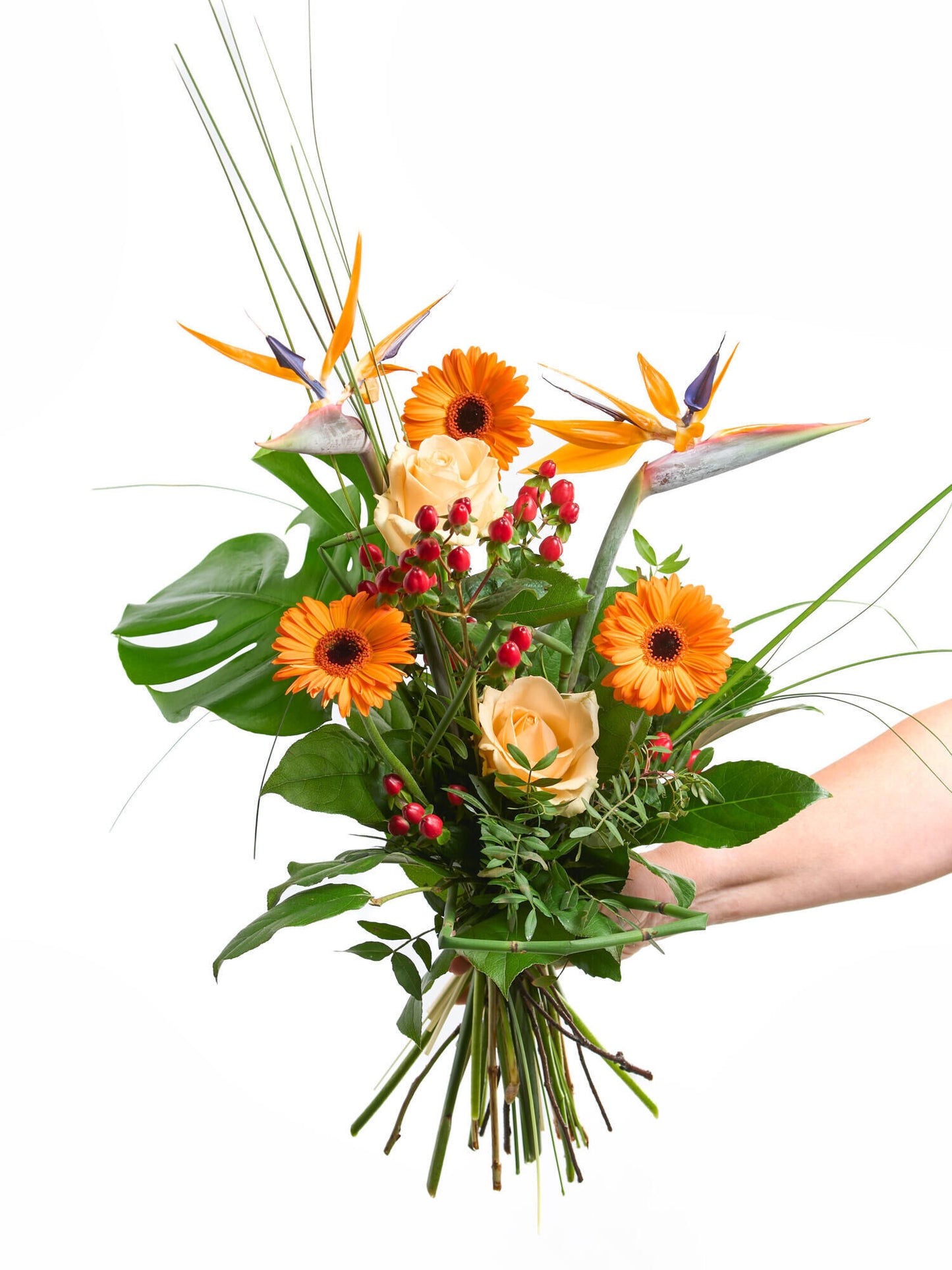 Blumiger Urlaubsflirt - Ansicht 6