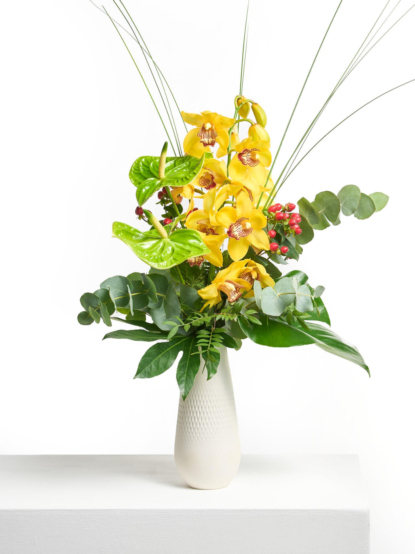 Magie der Orchideen - Ansicht 7