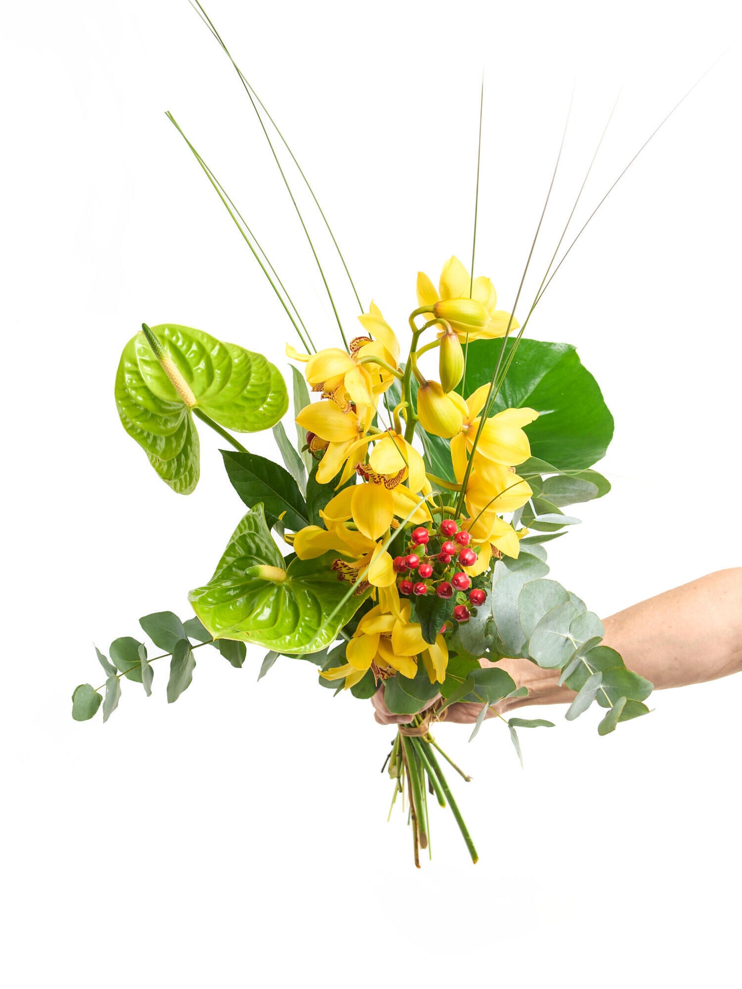 Magie der Orchideen - Ansicht 5