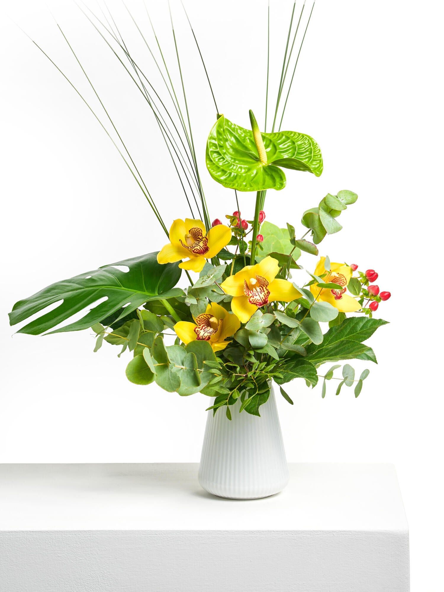 Magie der Orchideen - Ansicht 4