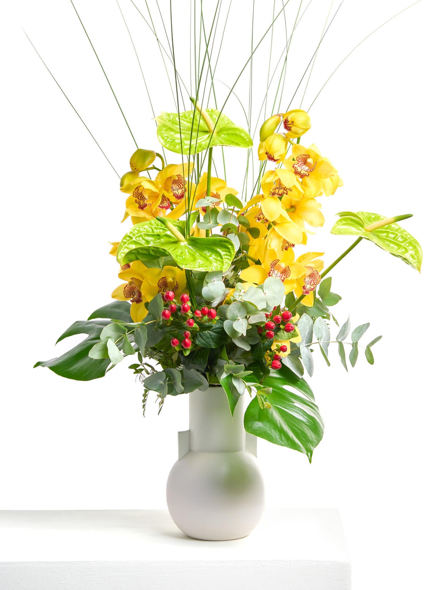 Magie der Orchideen - Ansicht 8