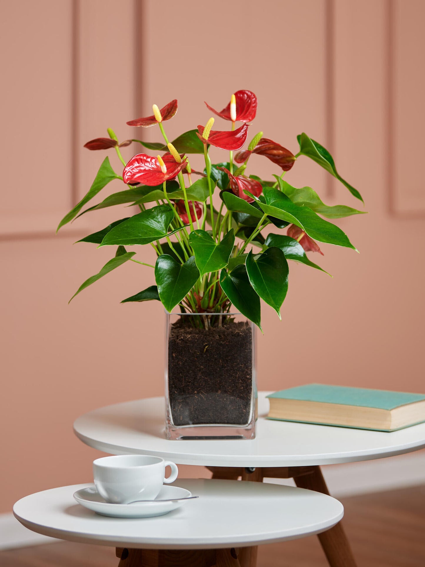Rote Flamingoblume in Vase - Ansicht 2