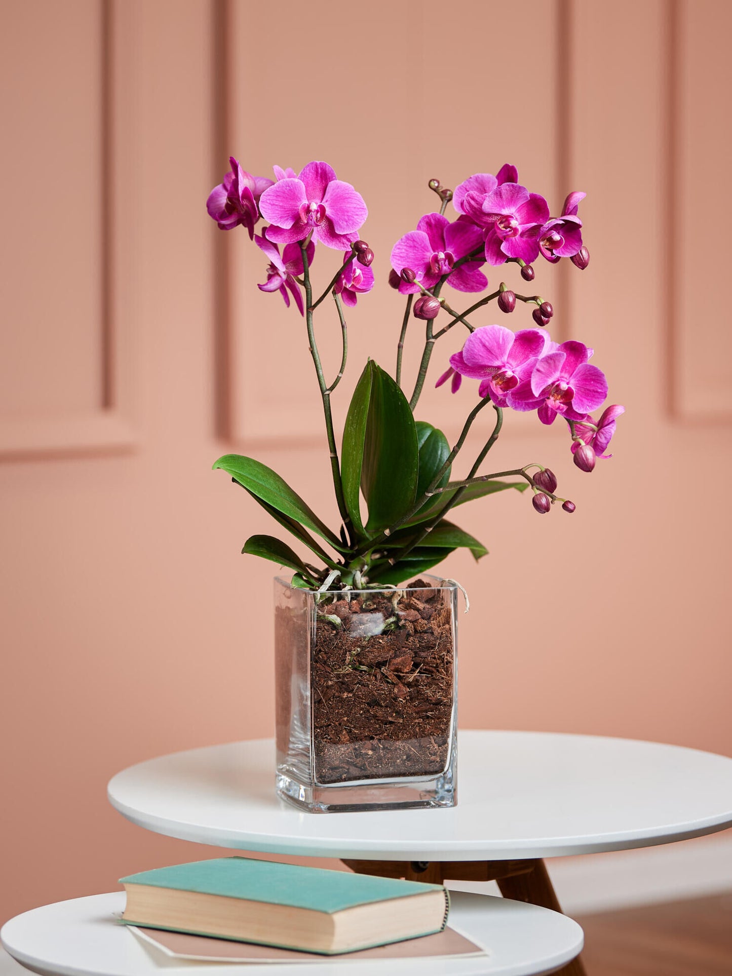 Pinke Orchidee in Vase - Ansicht 2