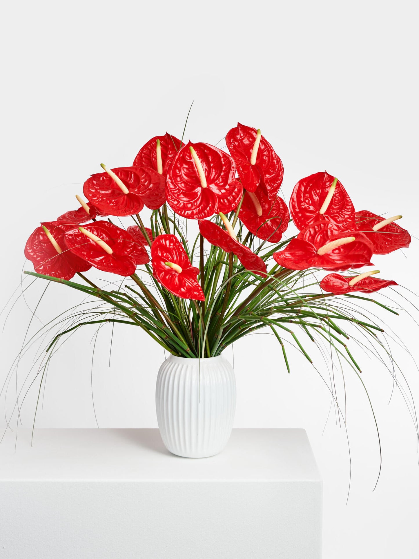 Rhythms of Flamenco - Ansicht 5