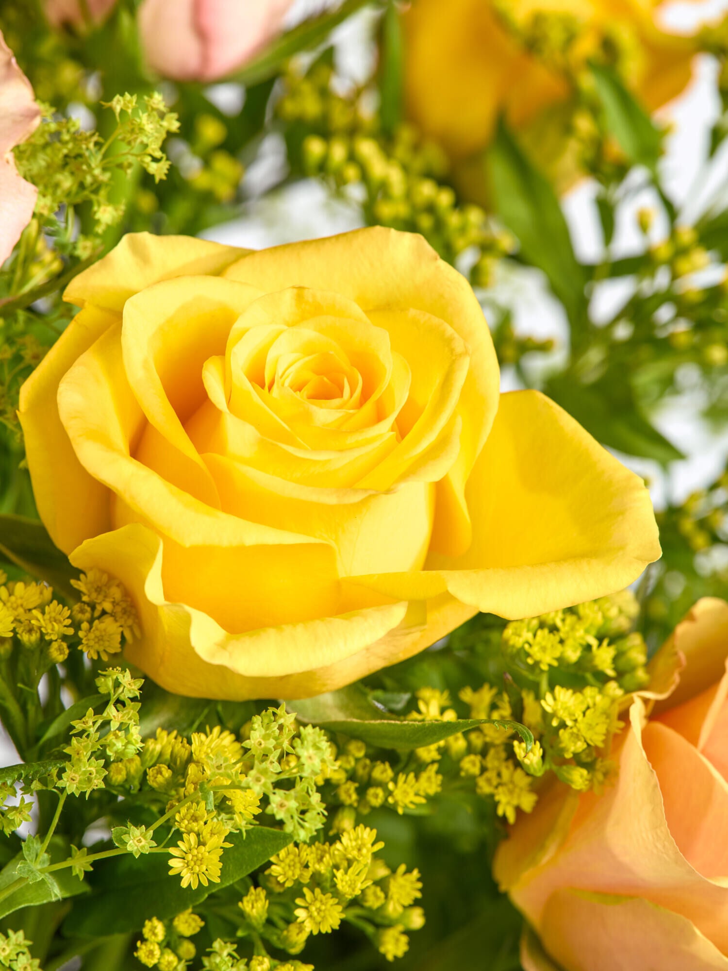 Deine Liebe ist unendlich - Ansicht 4