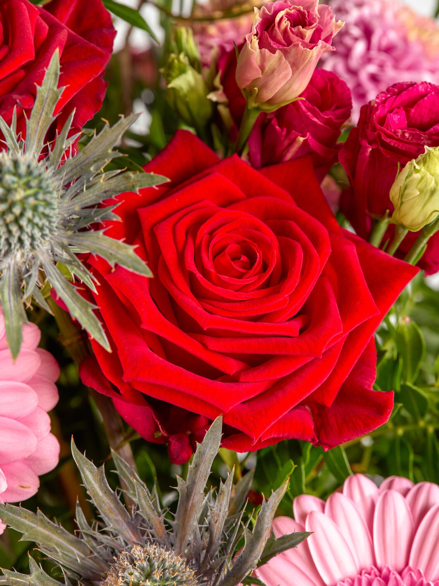 Alles Liebe, Mama - Ansicht 3