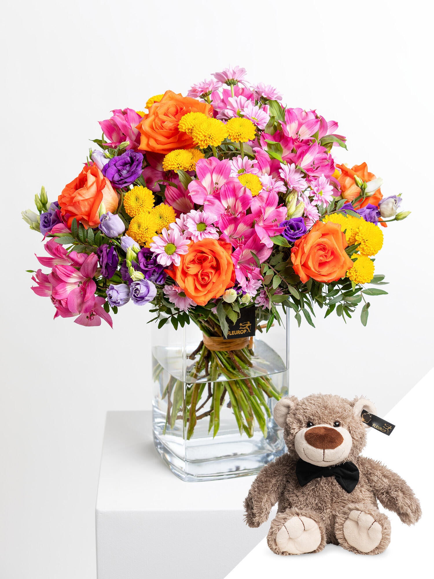 Bunte Geburtstagsfreude mit Teddy - Ansicht 7