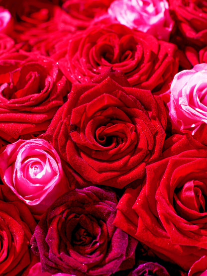 Deluxe: Deep Love