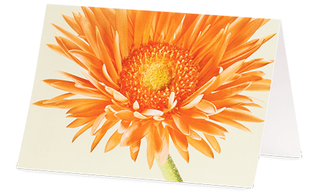 Grußkarte Orange Gerbera